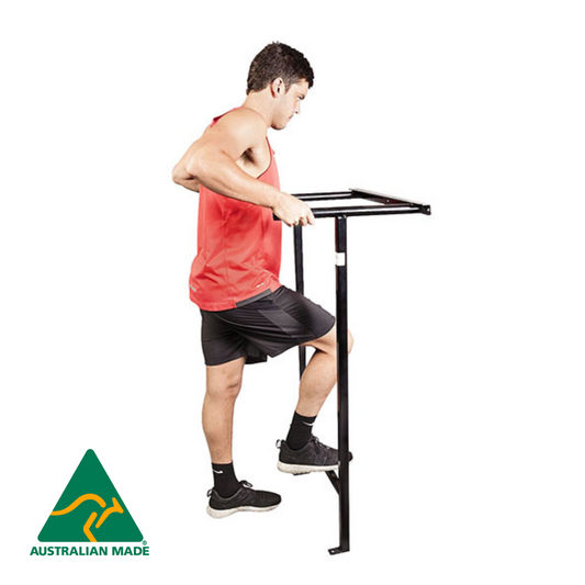 wall mounted dip bar