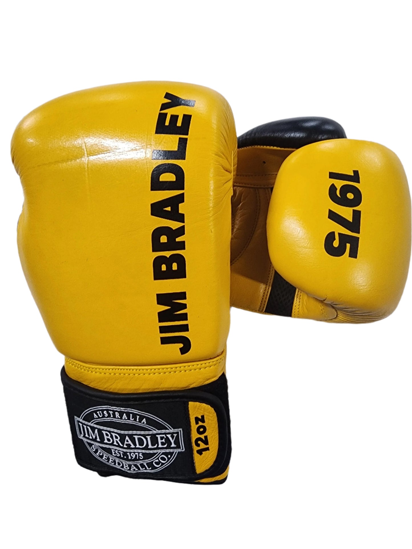 Free 16oz Boxing Gloves