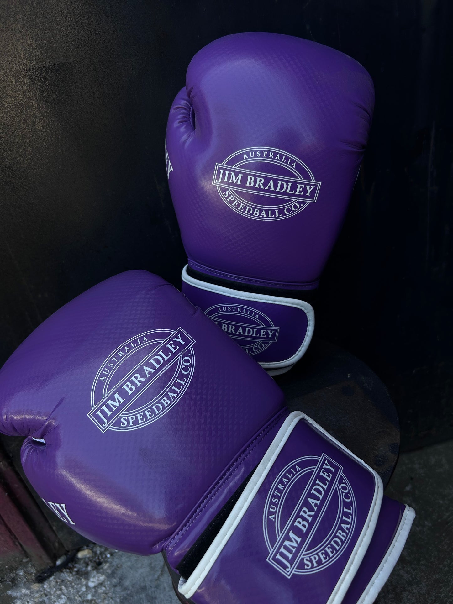 purple jim bradley boxing gloves
