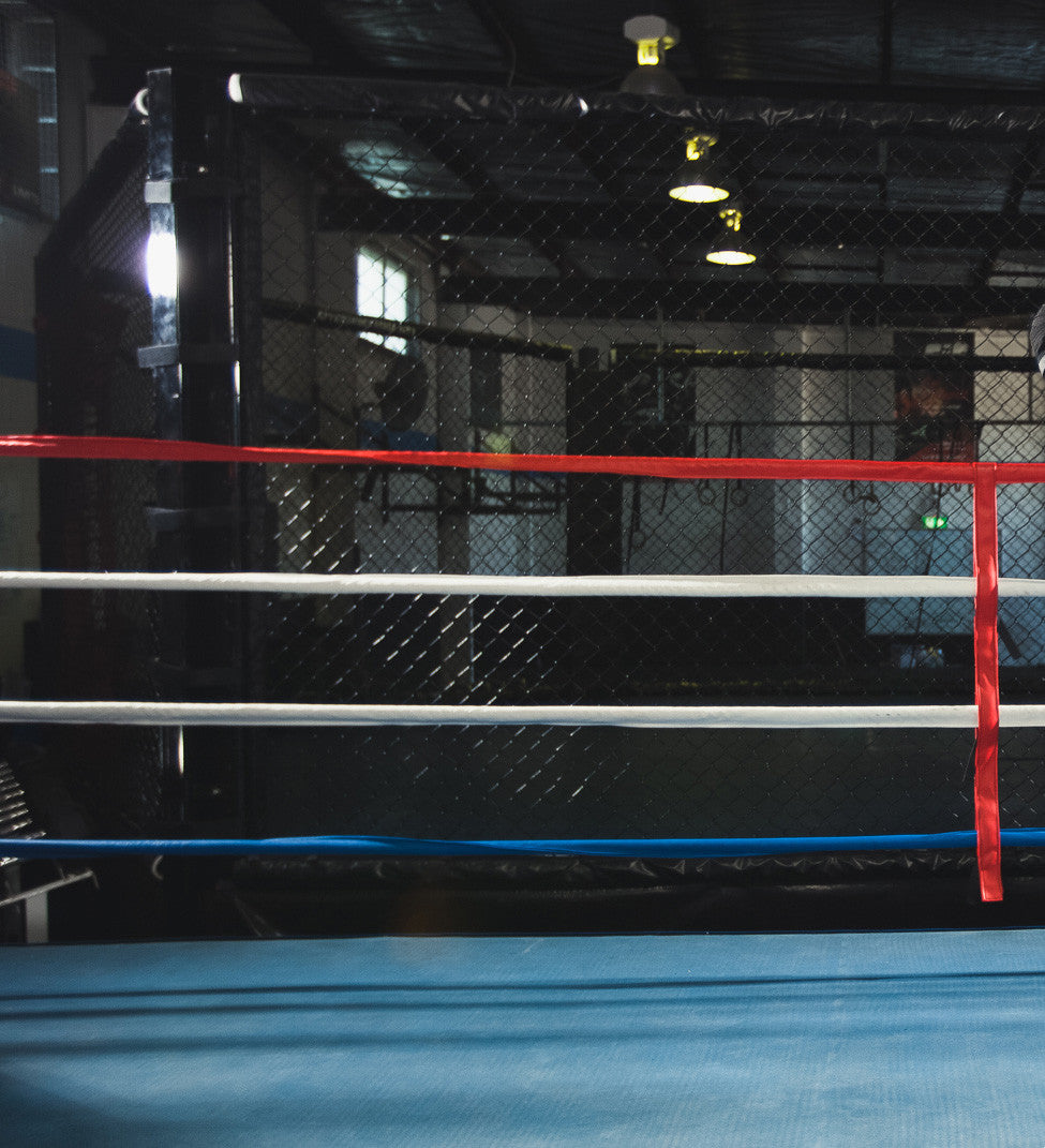 boxing ring ropes and rope divider