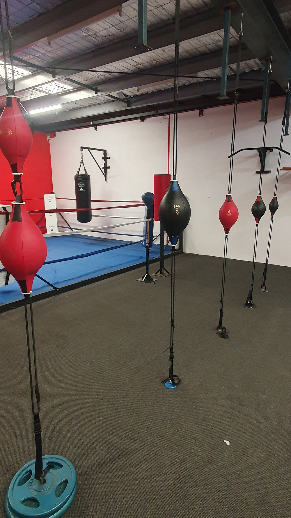 Floor To Ceiling Balls Jim Bradley Speedball