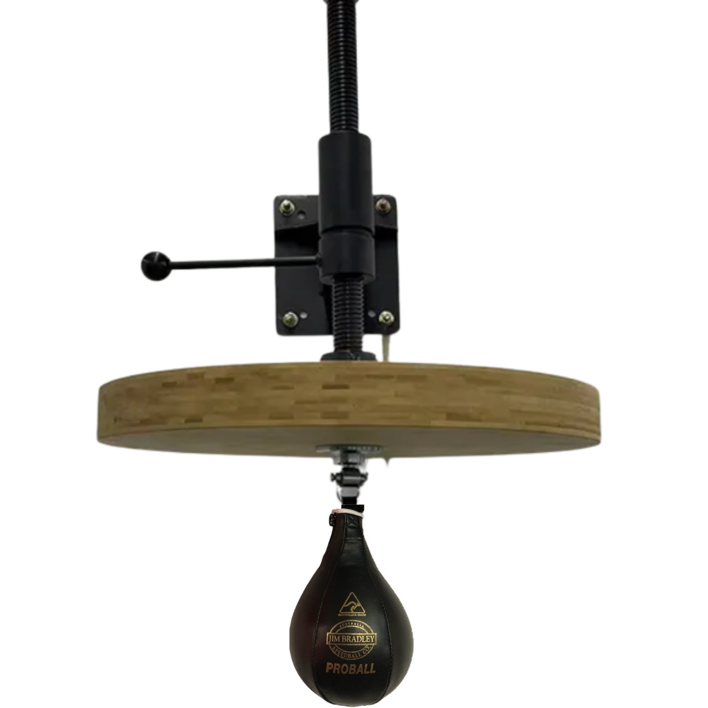 Adjustable Speedbag Platform