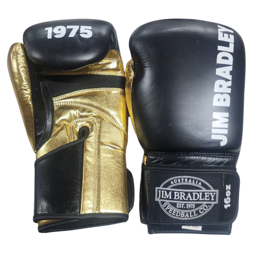 16oz Leather Boxing Gloves - Black/Gold
