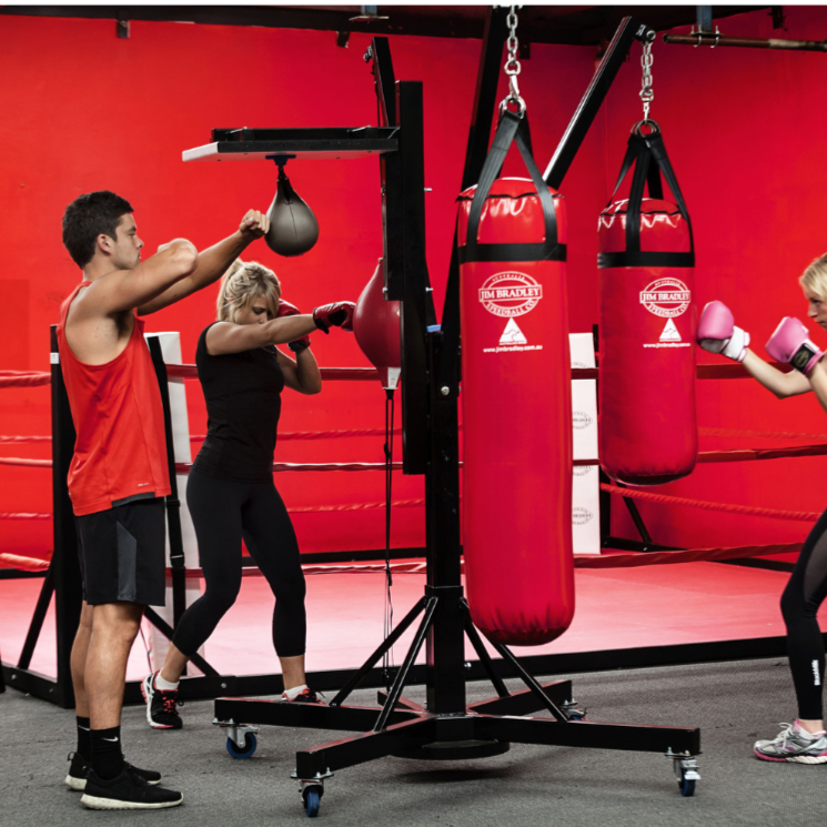 Commercial Boxing Station - Circuit Tree – Jim Bradley Speedball