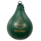 25cm Leather Proball (6" x 9")