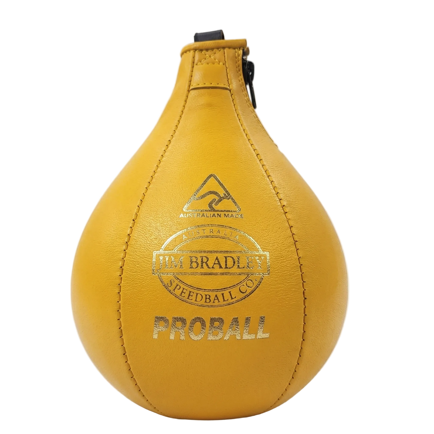 25cm Leather Proball (6" x 9")